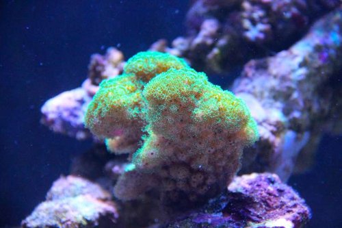 IMG_0238.JPG