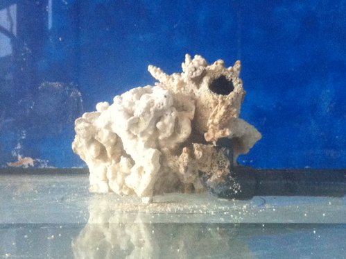 p2.JPG (133 KiB) Vist 1881 gange Polyp stenen, en af udblæsningerne ses her. Der mangler lidt småsten til at kamuflere udmundingen af røret lidt bedre.