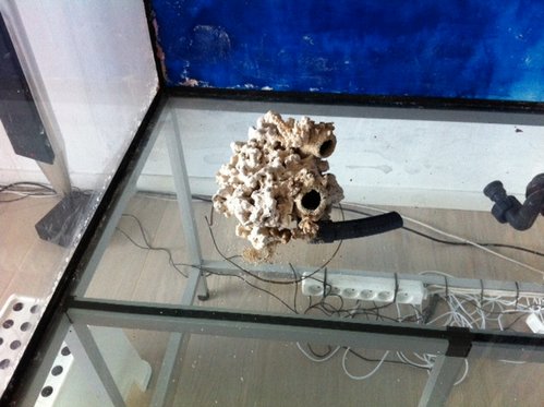 p5.JPG (131.59 KiB) Vist 1881 gange Polypstenen set skråt fra oven. Her ses begge udblæsninger.