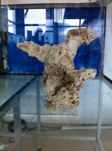 s1.JPG (28.39 KiB) Vist 1881 gange Søjlen set fra den vinkel hvor udløbene ikke kan ses