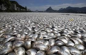 Sådan så der ud bagefter.......