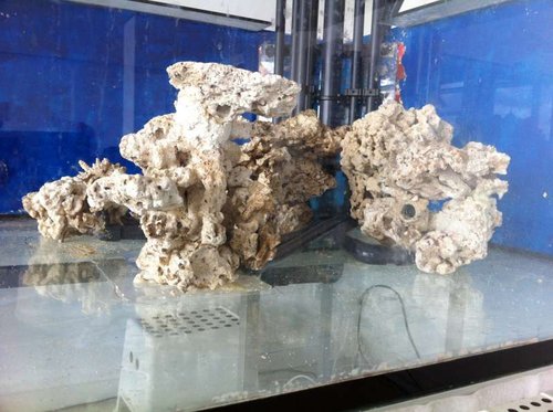 IMG_0182.JPG (57.79 KiB) Vist 1833 gange Et eksempel på dybden der kommer i den nye stensætning. Dog lidt svært at fornemme, men når man sidder og kigger ind i det er der en del flere huler og kroge og meget mere luft end i den gamle.