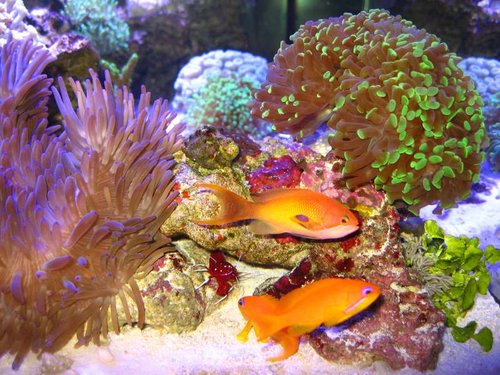 2013.01.18 023 (2).JPG