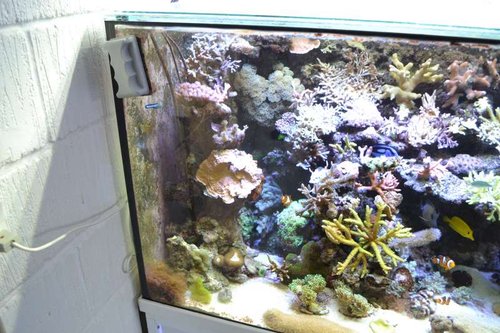 DSC_0270.JPG