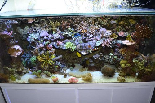 DSC_0298.JPG