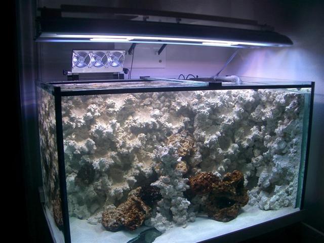 Akvariet uden topkasse.