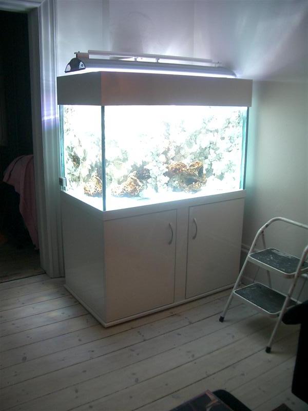 Akvariet med lys osv. (trappestigen i højre er tilkøb :) )