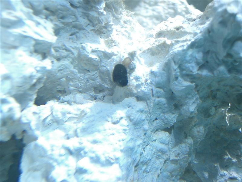 CIMG2766 (Medium).JPG