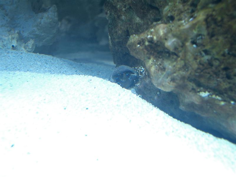 CIMG2764 (Medium).JPG