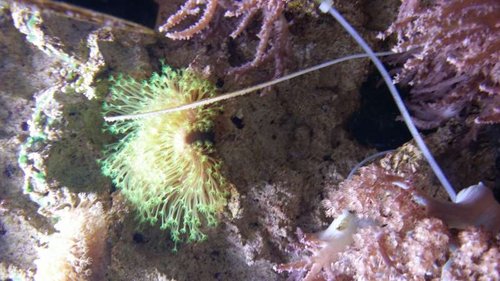 20131001_204835.jpg