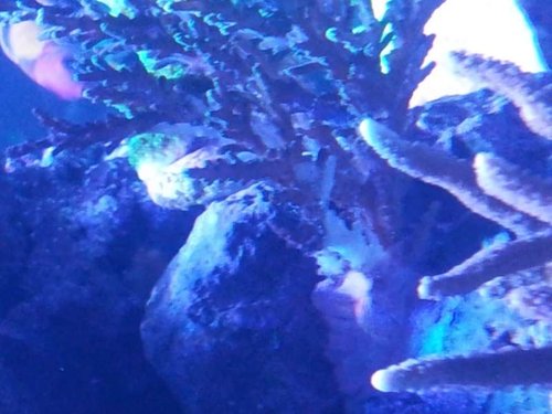 20131003_193050.jpg