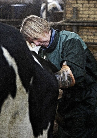 Klartilatsterilisereuroligekoeer0.png