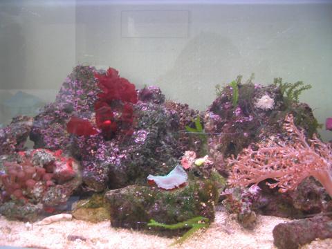 Her er billede af det midterste inventar. ret flotter farver efterhånden.