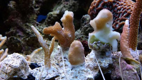 2013-10-09 17.30.43.jpg