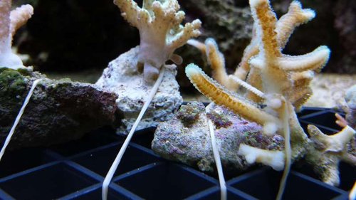 2013-10-09 17.31.31.jpg