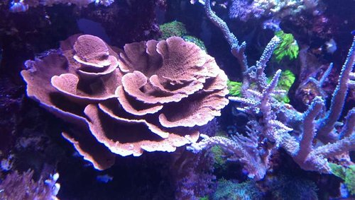 2013-10-06 21.08.40.jpg