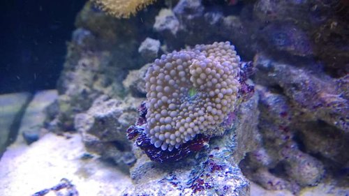 WP_20131017_19_38_12_Pro.jpg