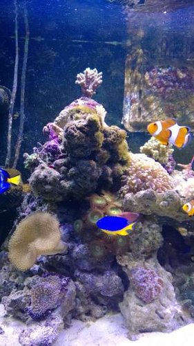 WP_20131017_19_37_15_Pro.jpg