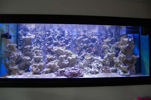 DSC_5004.JPG