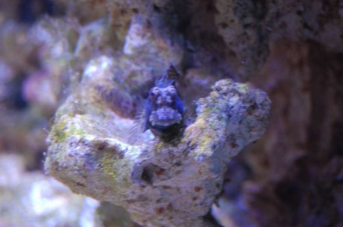 DSC_5002.JPG