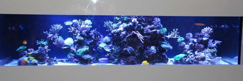 IMG_0921.JPG