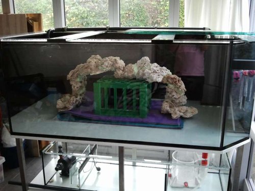2013-10-26 14.24.15.jpg