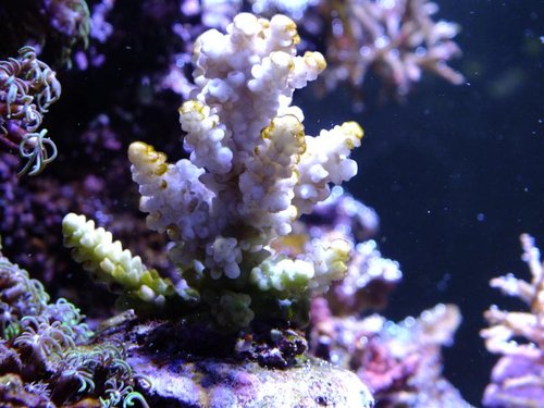 DSCF8892 (Medium).jpg