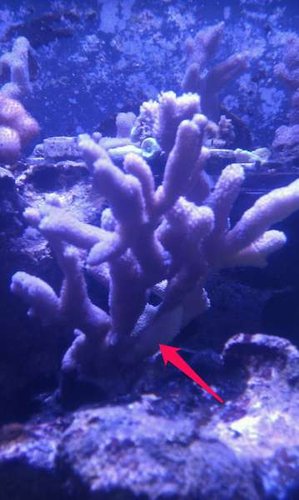 6. nov. 2013 11.42.36 CET.jpg