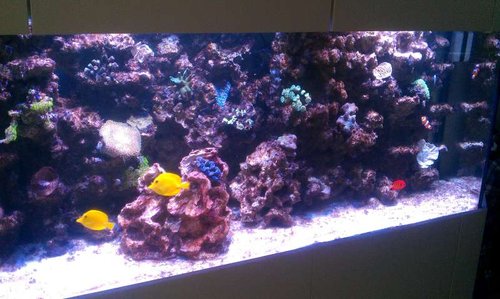 IMAG0289.jpg