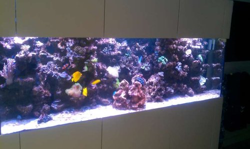IMAG0291.jpg