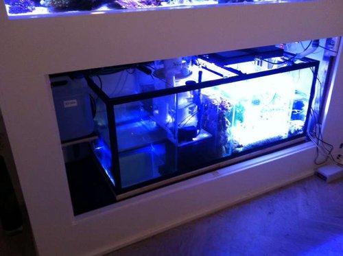 image.jpg (37.8 KiB) Vist 662 gange Ferskvandskammer, skummerrum, stenrum, refugium, fragmentrum (med midlertidig biopellets reaktor i baggrunden, returpumperum.