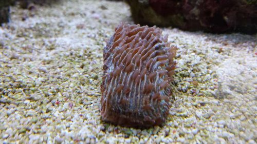 20131029_143027.jpg