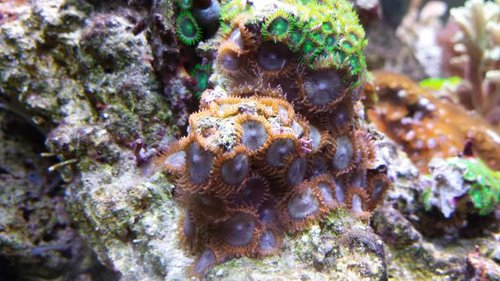 20131013_114643.jpg