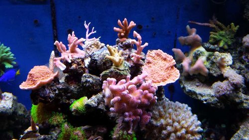 20131029_143114.jpg