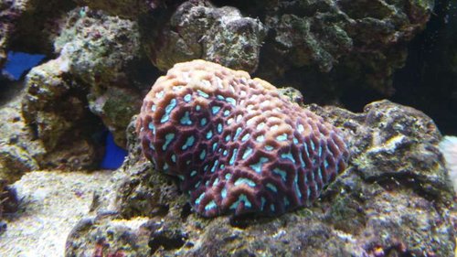 20131007_125831.jpg