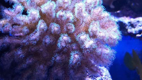 20131112_172218.jpg