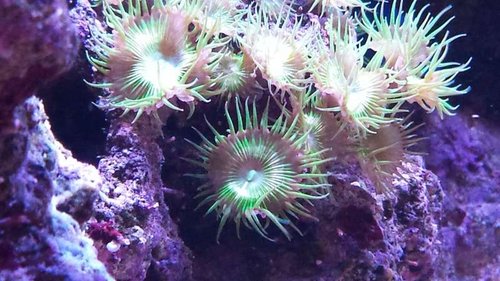 20131112_172046.jpg