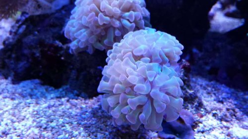 20131112_171929.jpg