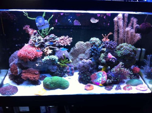 IMG_0375.JPG (64.07 KiB) Vist 913 gange :)