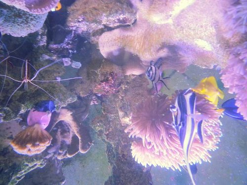 20131121_172746.jpg