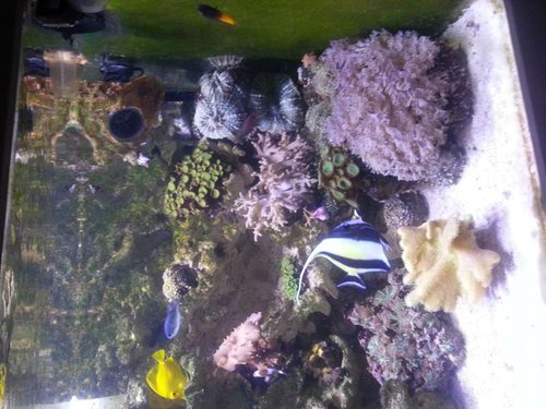 20131121_172545.jpg