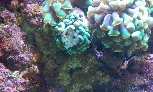 20131124_123918.jpg