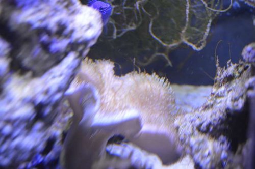 DSC_0116.JPG