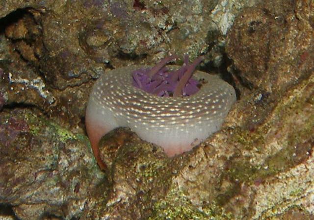 I mørke (Small).jpg