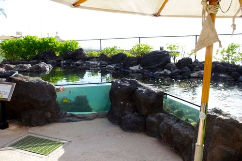 &quot;The Edge of the Reef&quot;