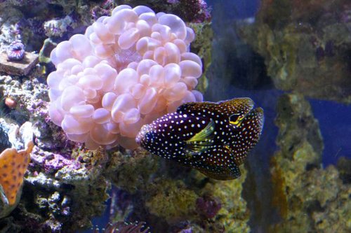 IMG_9114.JPG