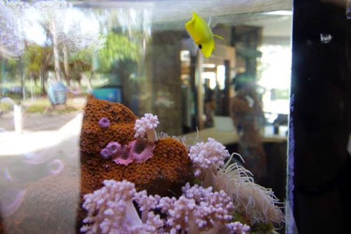 IMG_8934.JPG