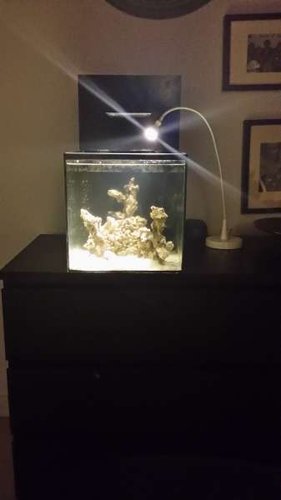 20131202_211753.jpg