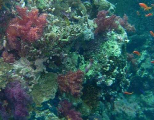PIC_0360b (Medium).JPG