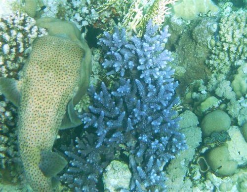 PIC_0530 (Medium).JPG